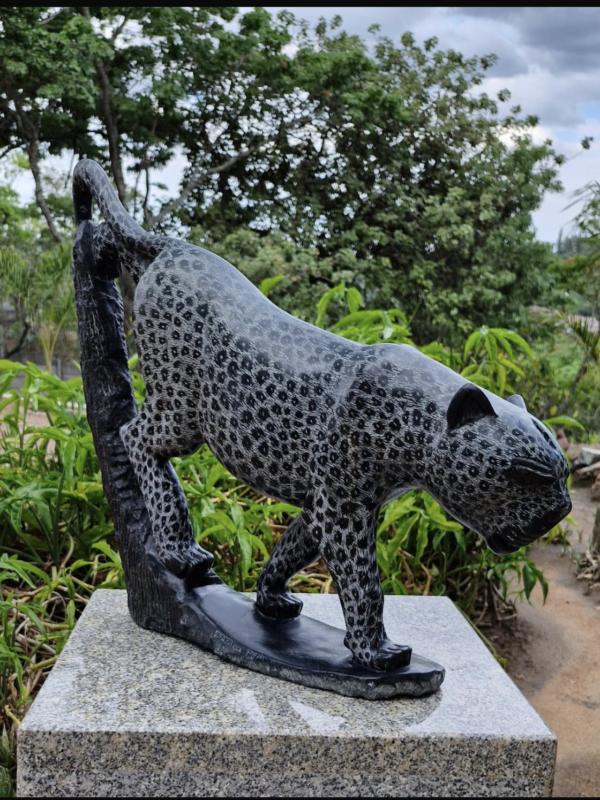 A Jaguars Story