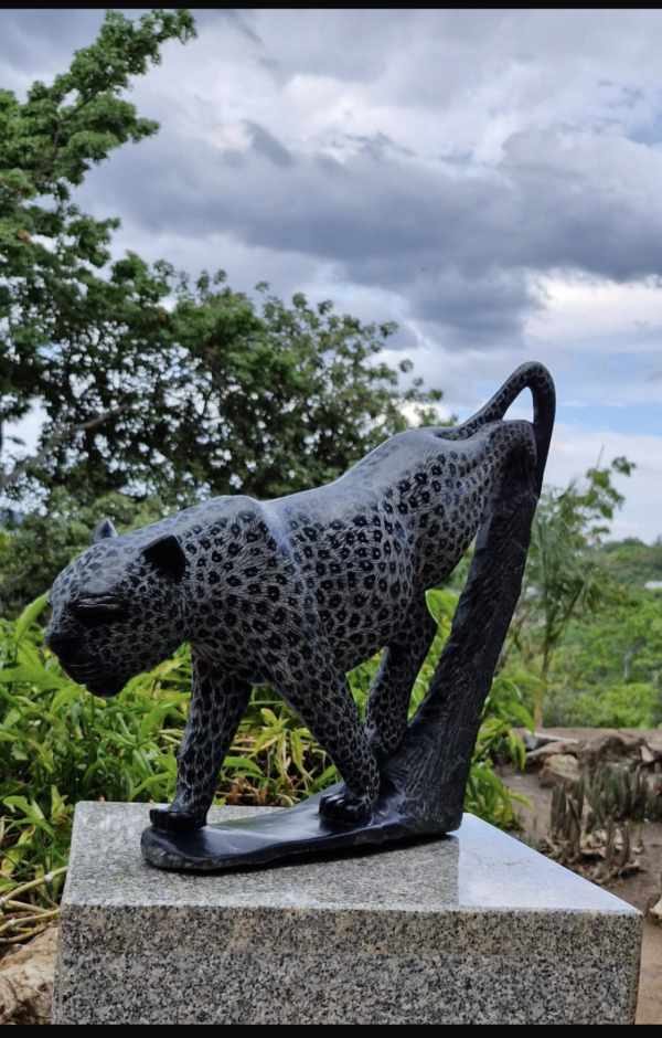 A Jaguars Story - Image 2