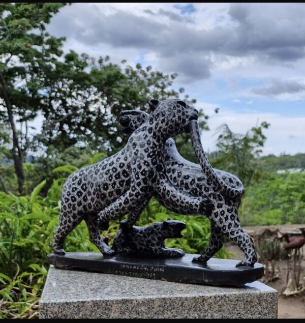 Playful Leopards - Image 2