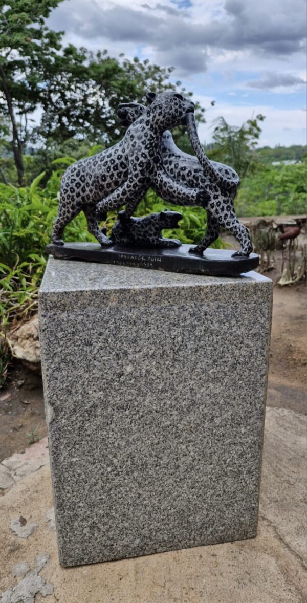 Playful Leopards - Image 4