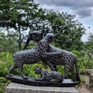 Playful Leopards