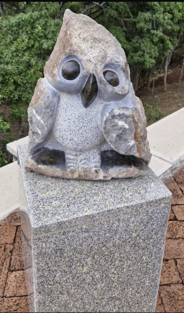 Cute Owlet - Image 2