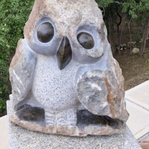 Cute Owlet