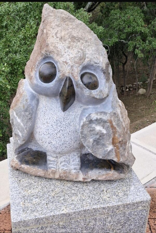 Cute Owlet