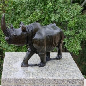 Rhino On The Move