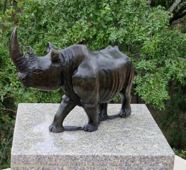 Rhino On The Move - Image 3