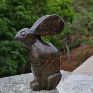 Happy Rabbit