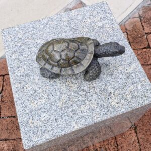 Mr Tortoise