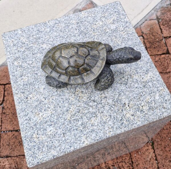 Mr Tortoise