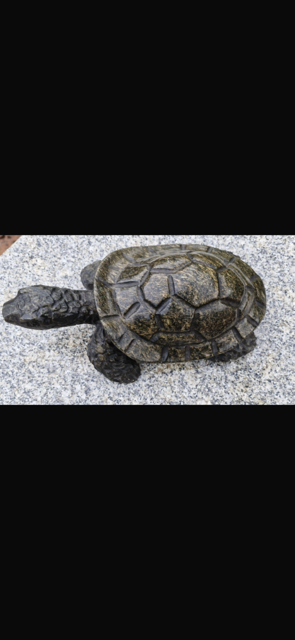 Mr Tortoise - Image 3