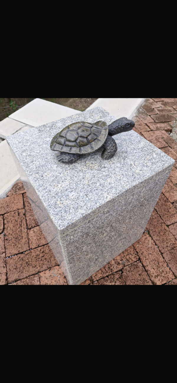 Mr Tortoise - Image 2