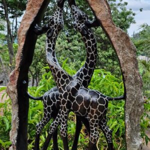 Kissing Giraffe