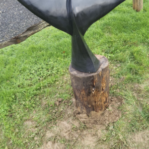 Whale Tail