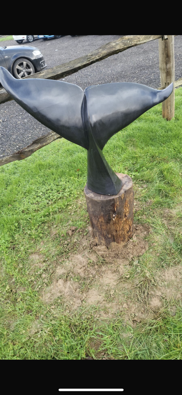 Whale Tail