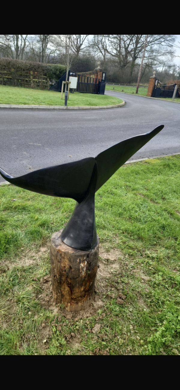 Whale Tail - Image 3