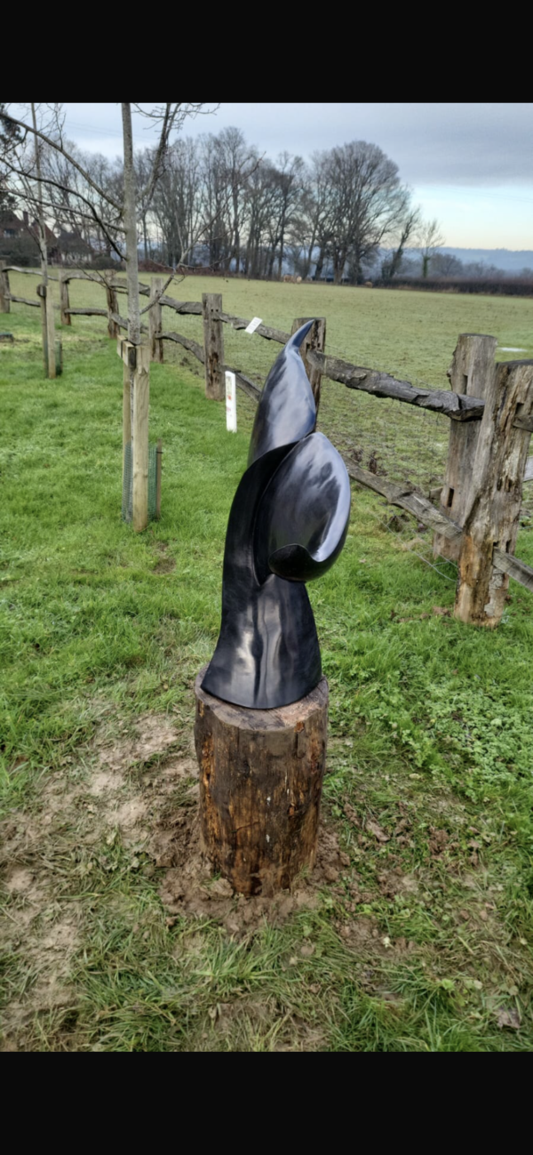 Whale Tail - Image 4