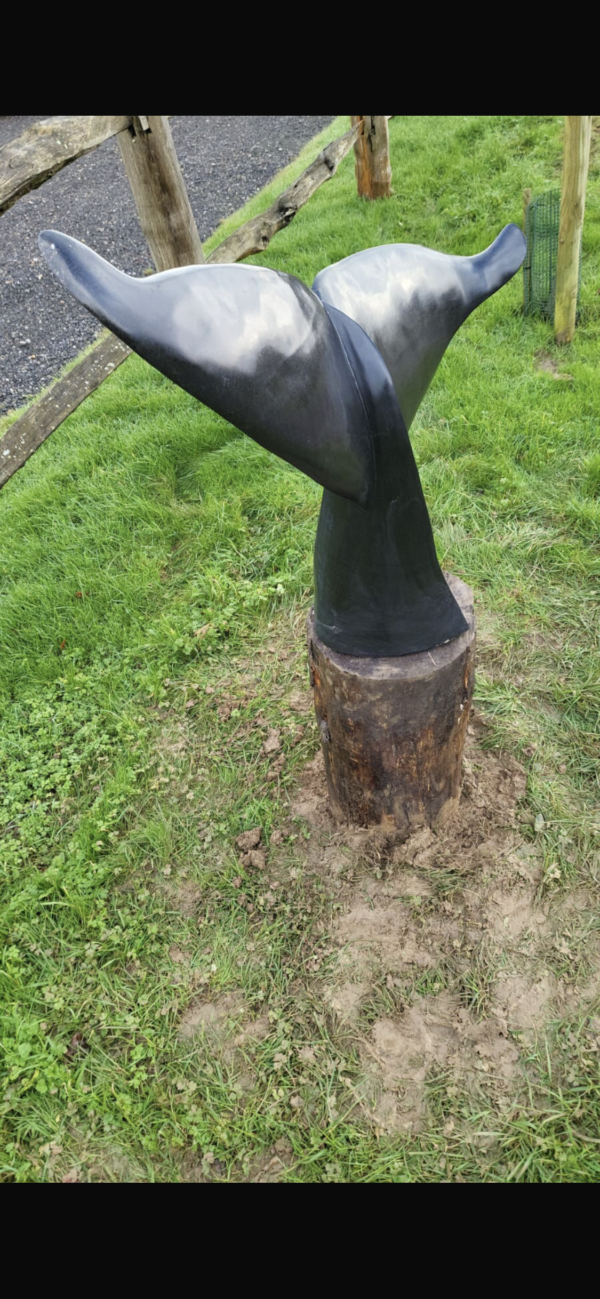 Whale Tail - Image 5