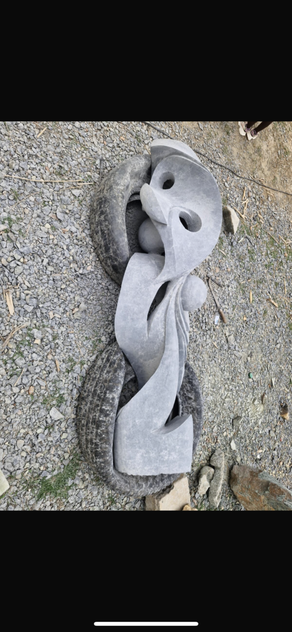 Not Ordinary - Image 6