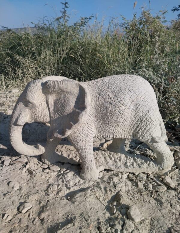 Elephant - Image 4