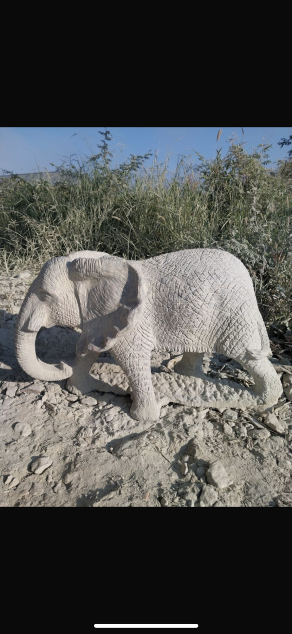 Elephant - Image 5