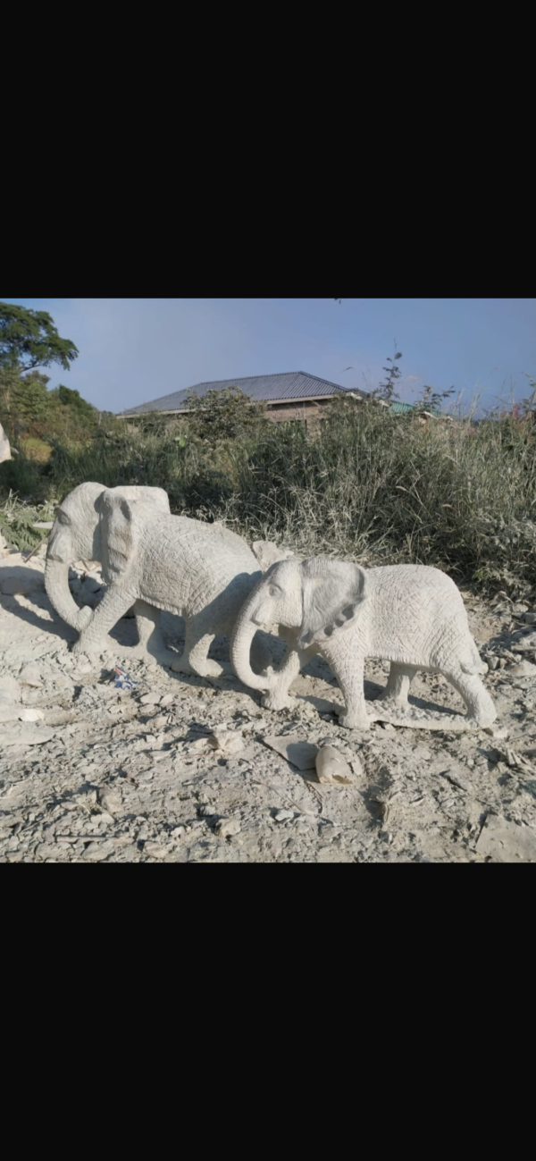Elephant - Image 6