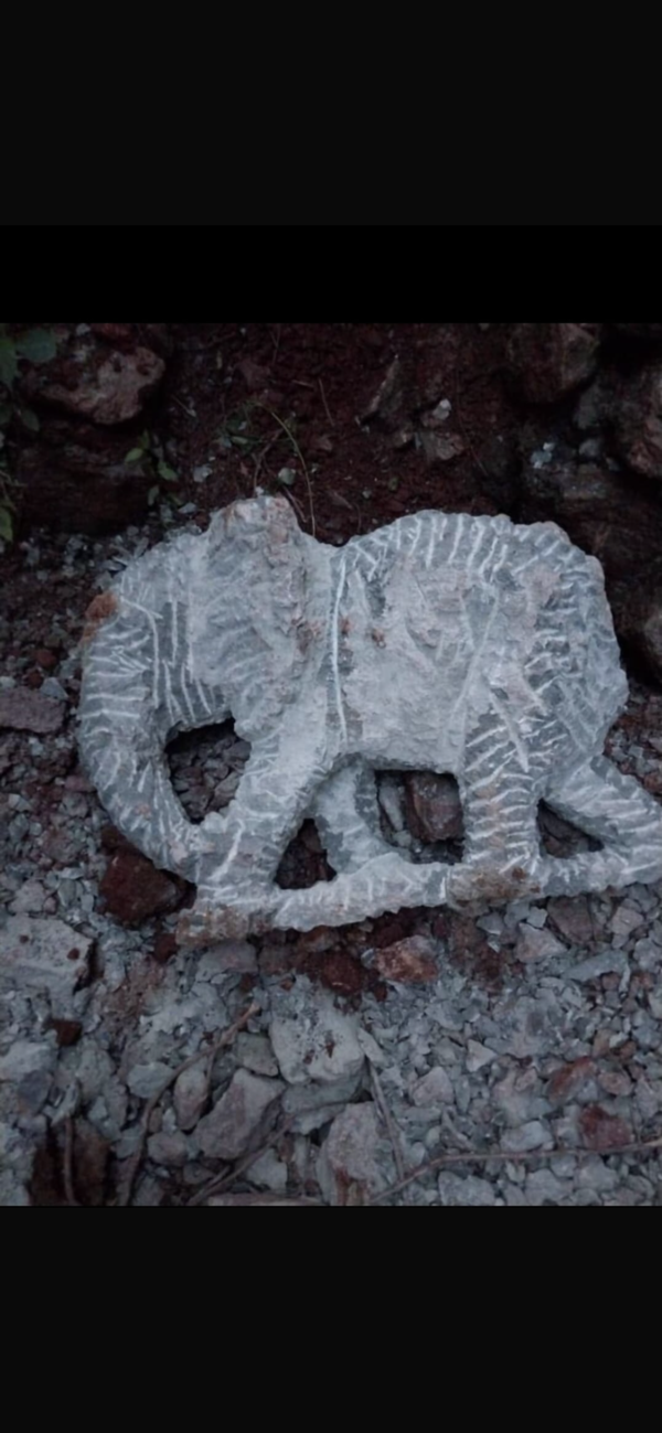Elephant - Image 7
