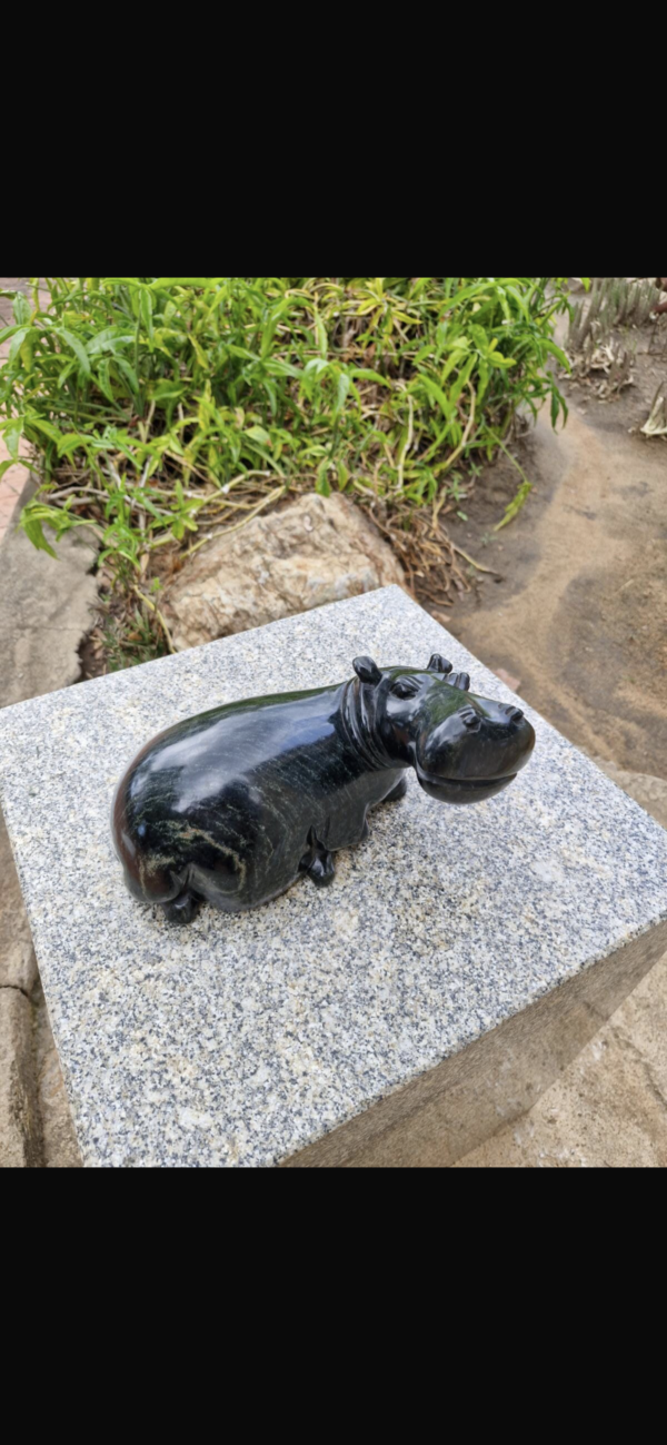 Hippo - Image 4