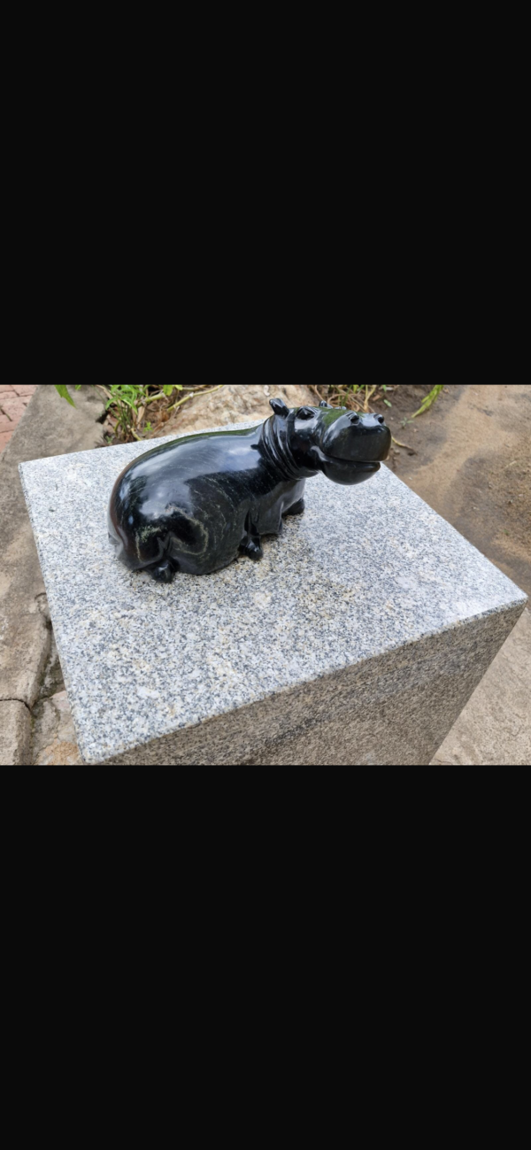 Hippo - Image 5