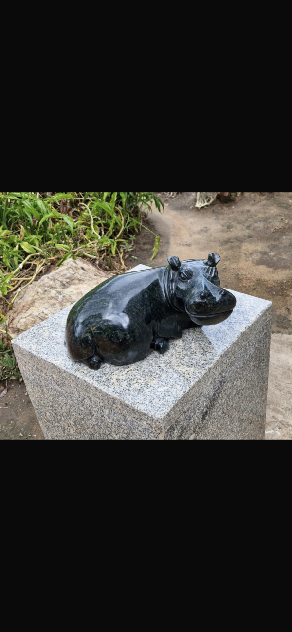 Hippo - Image 6