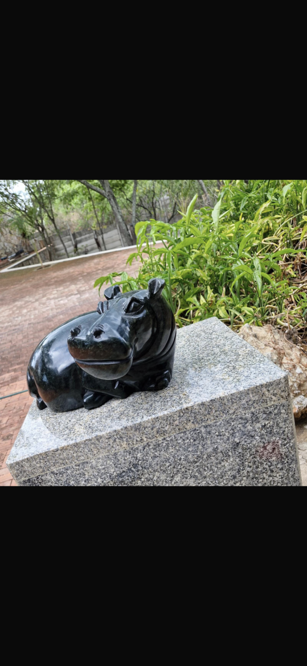Hippo - Image 7