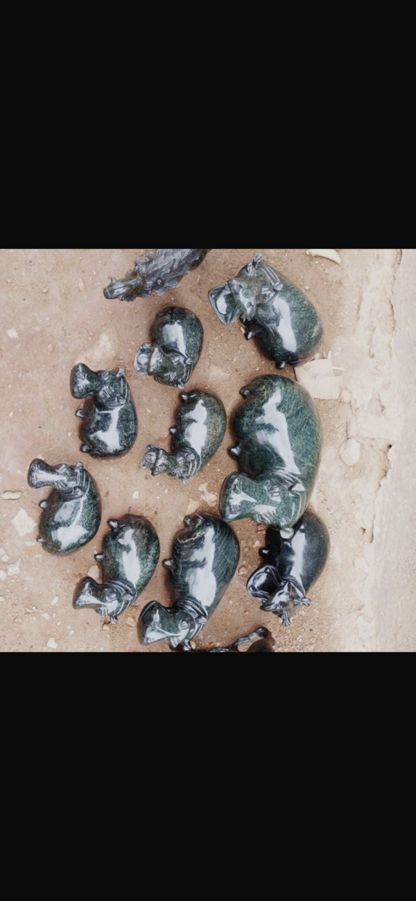 Hippo - Image 9