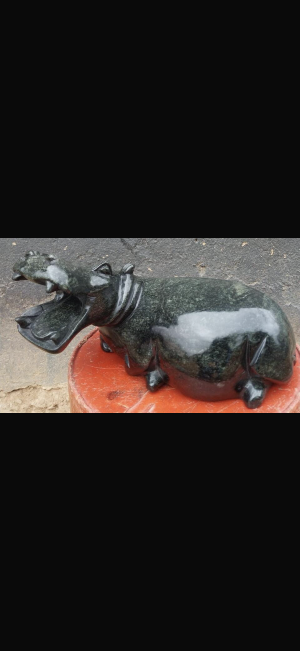 Hippo - Image 8