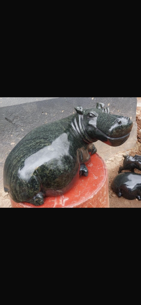 Hippo - Image 10