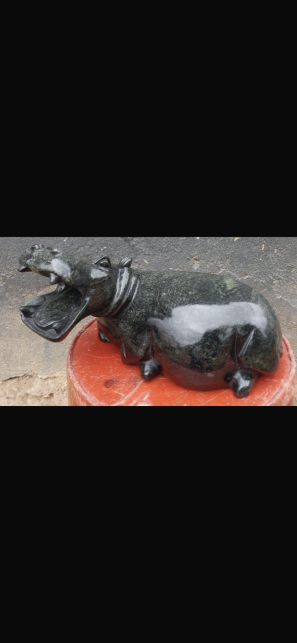 Hippo - Image 11