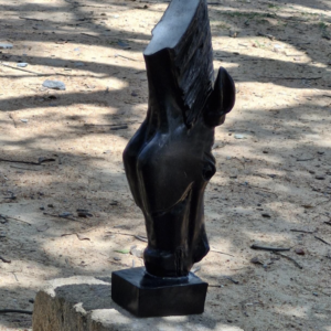 Drinking Horse