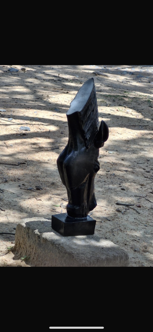 Drinking Horse