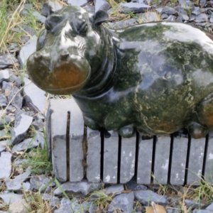 Hippo