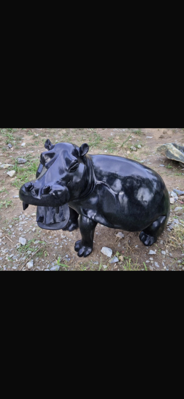 Hippo - Image 2