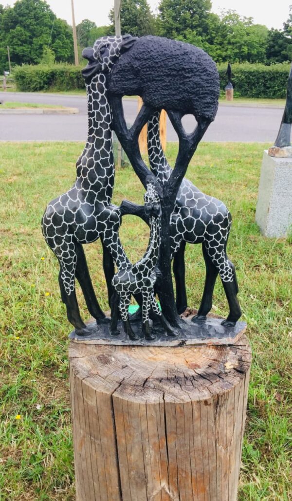 Feeding Giraffe - Image 2