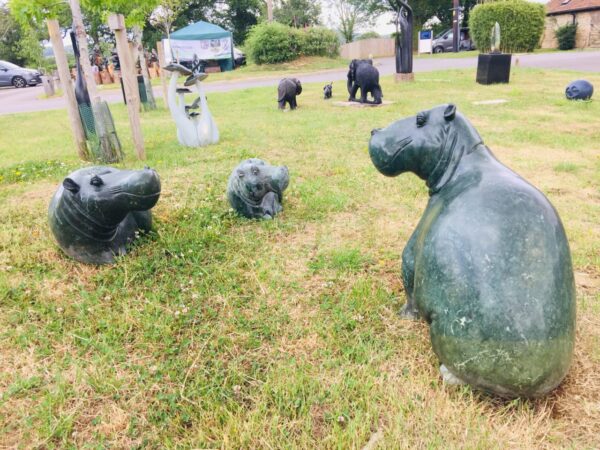 Hippo - Image 2