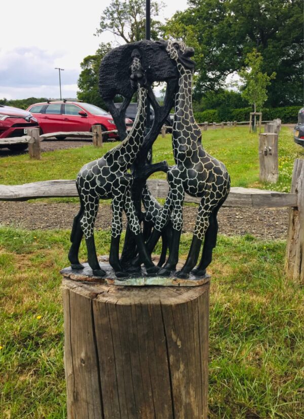 Feeding Giraffe - Image 3